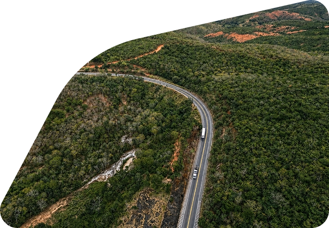gerais3